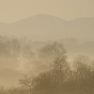 Matin brumeux
